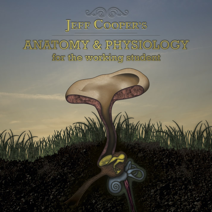 Anatomy & Physiology for the working student